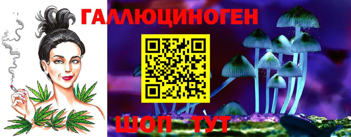 купить наркотик  Вход с VPN  Краснодар  Галлюциногенные грибы Psilocybine cubensis 