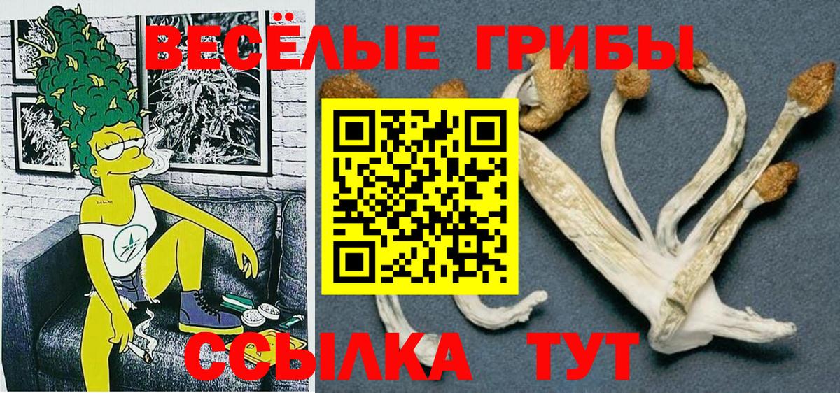 Галлюциногенные грибы Magic Shrooms Краснодар